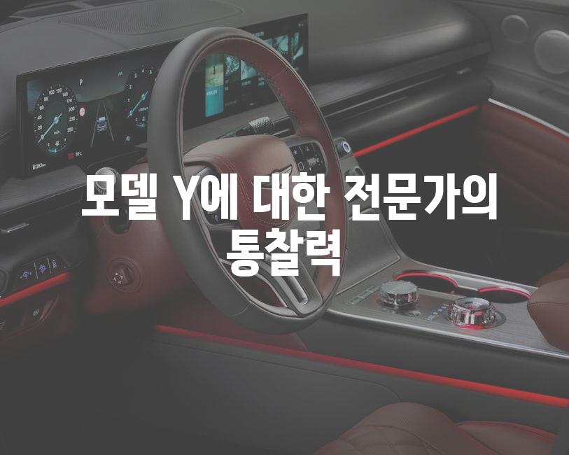  모델 Y에 대한 전문가의 통찰력