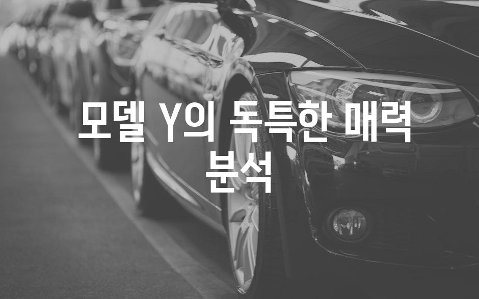  모델 Y의 독특한 매력 분석