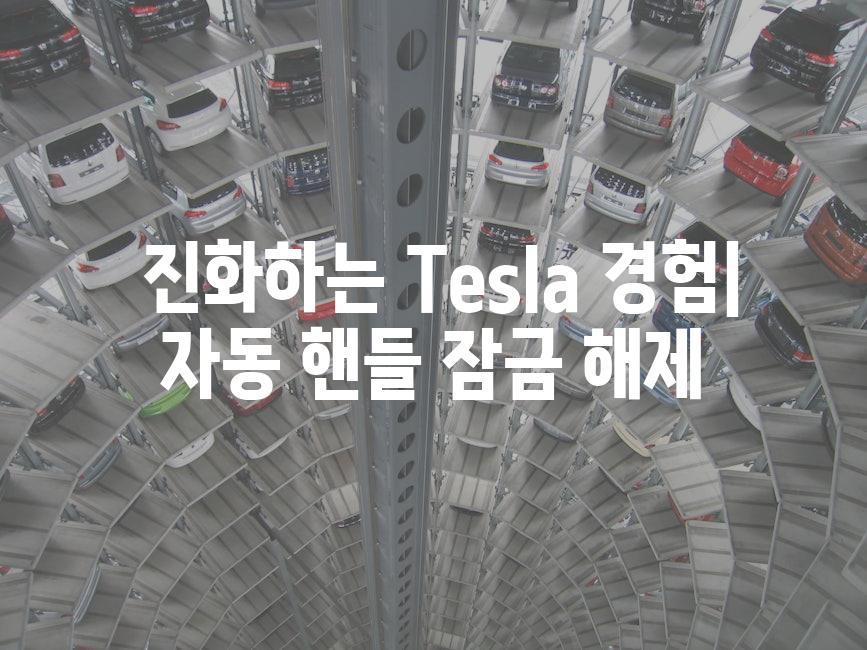  진화하는 Tesla 경험| 자동 핸들 잠금 해제