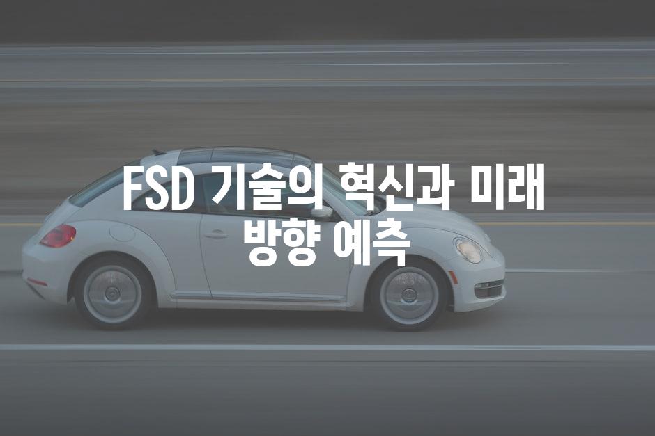  FSD 기술의 혁신과 미래 방향 예측