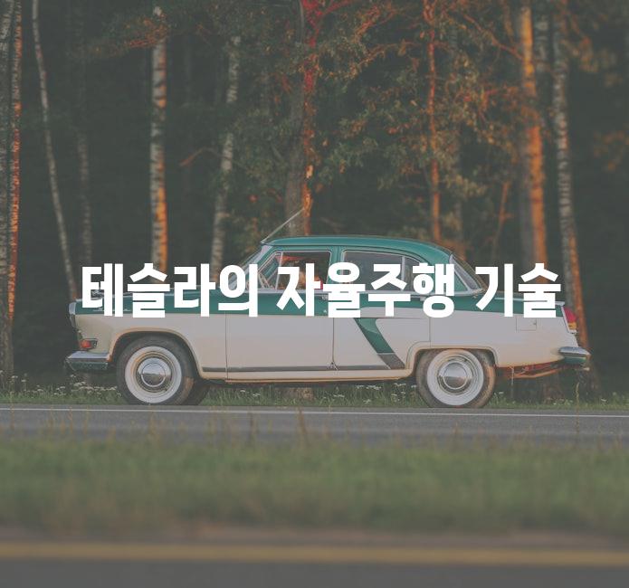  테슬라의 자율주행 기술