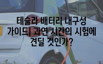 테슬라 배터리 내구성 가이드| 과연 시간의 시험에 견딜 것인가?