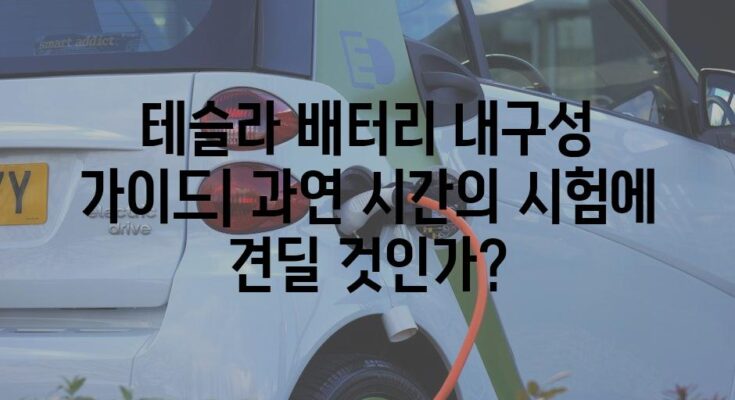 테슬라 배터리 내구성 가이드| 과연 시간의 시험에 견딜 것인가?