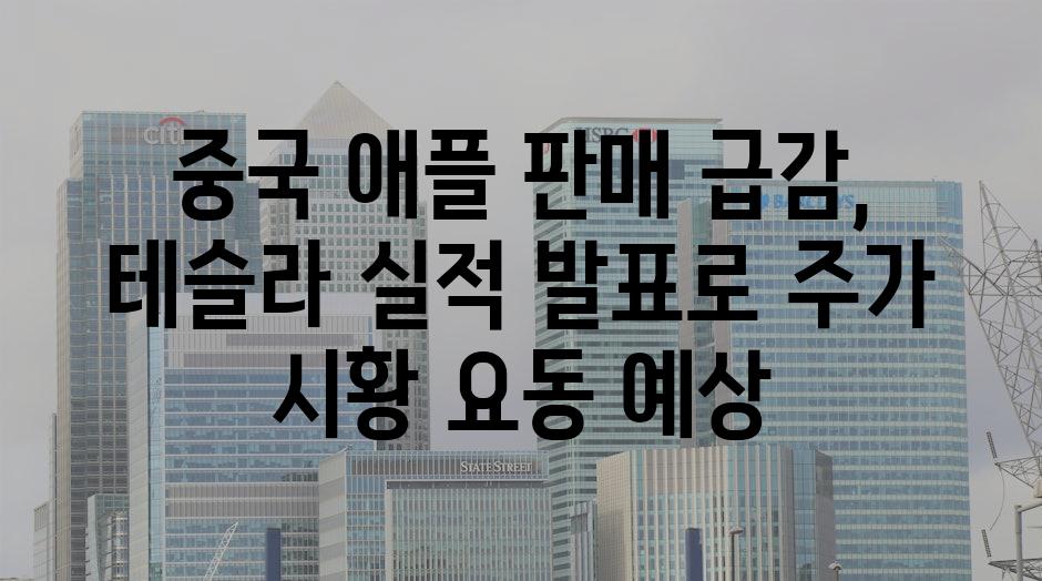 이미지_설명