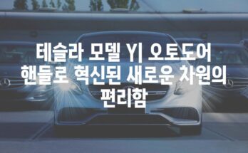 테슬라 모델 Y| 오토도어 핸들로 혁신된 새로운 차원의 편리함