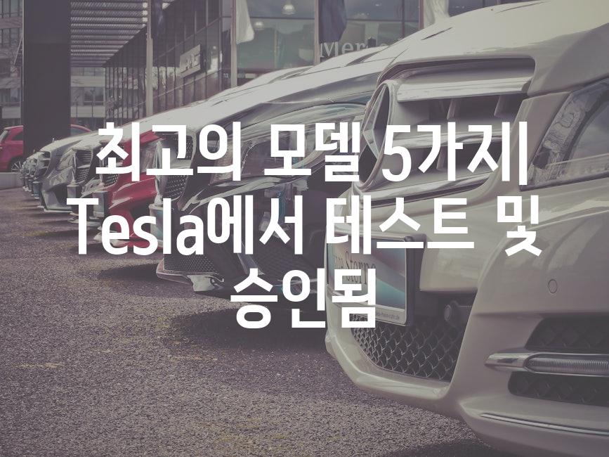  최고의 모델 5가지| Tesla에서 테스트 및 승인됨