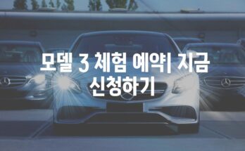 분당 테슬라 모델 3 전시장| 신형차 체험 가이드