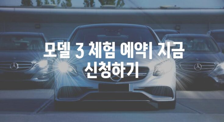 분당 테슬라 모델 3 전시장| 신형차 체험 가이드