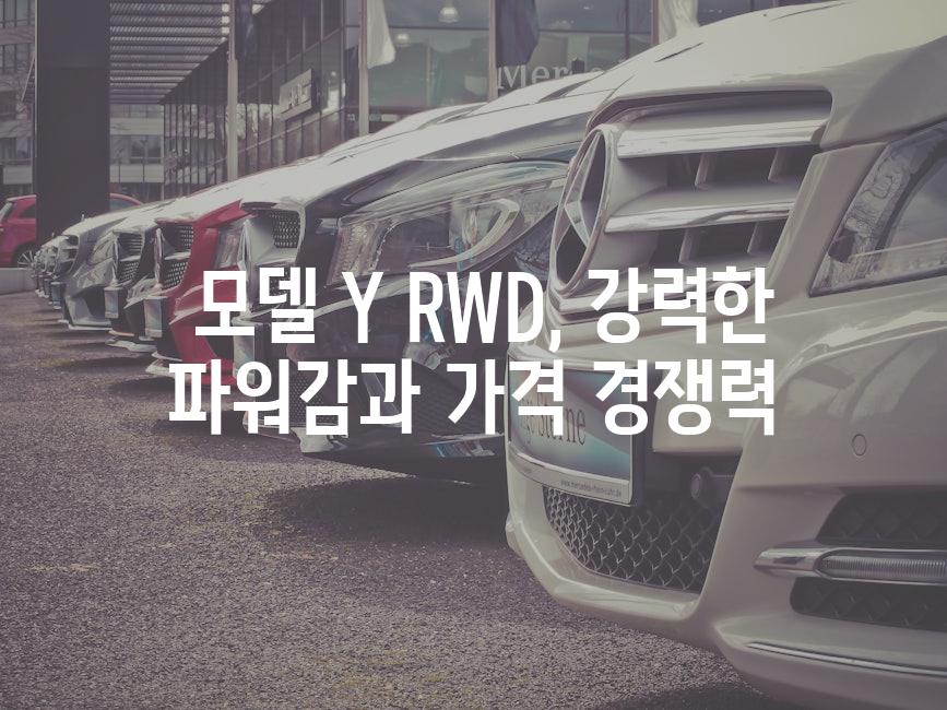  모델 Y RWD, 강력한 파워감과 가격 경쟁력