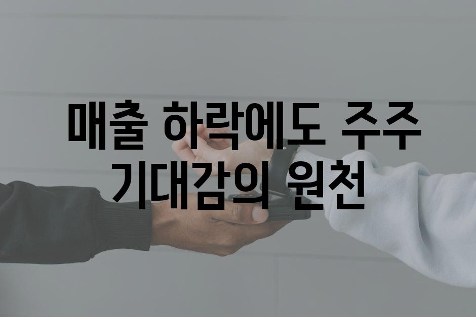  매출 하락에도 주주 기대감의 원천