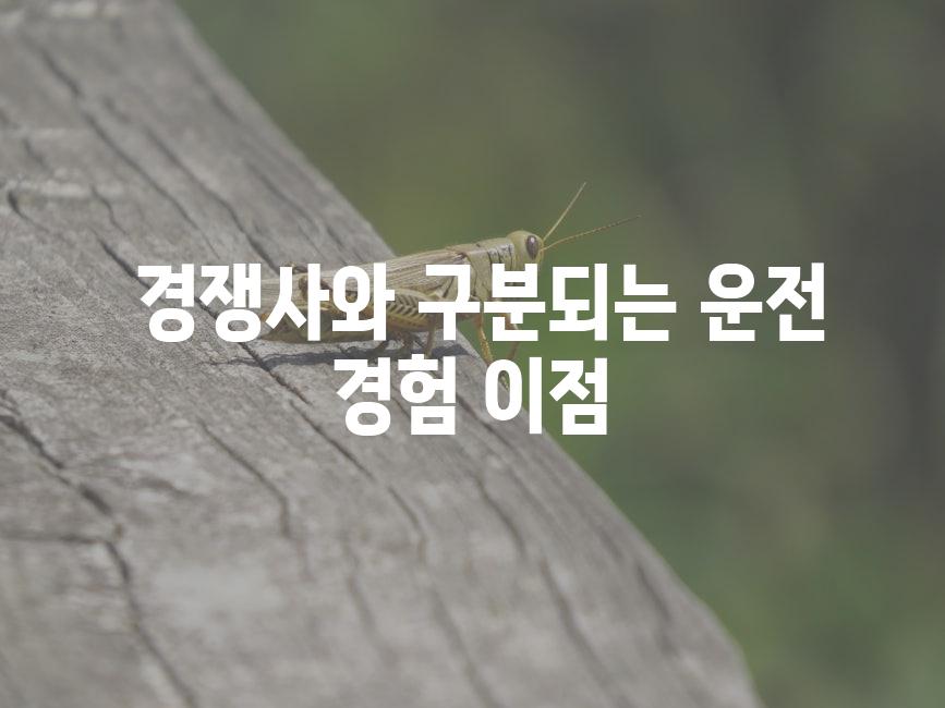  경쟁사와 구분되는 운전 경험 이점