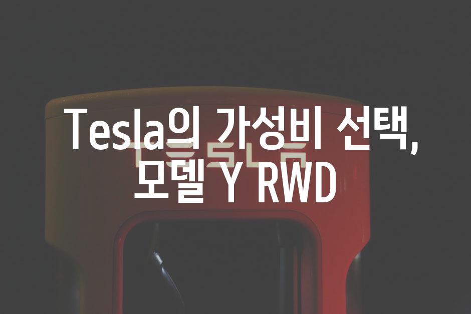  Tesla의 가성비 선택, 모델 Y RWD