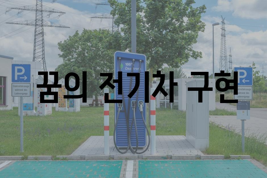 꿈의 전기차 구현