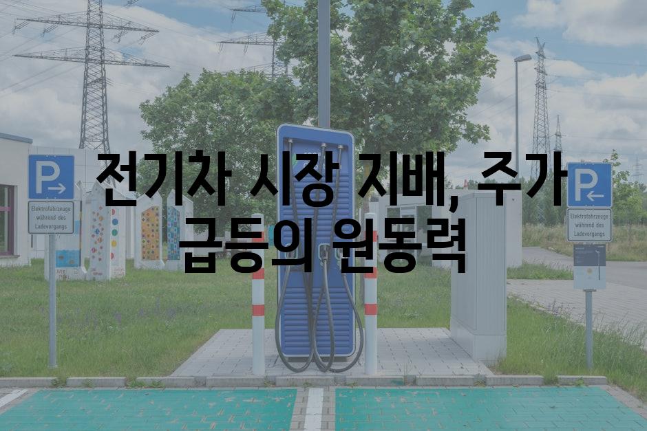 전기차 시장 지배, 주가 급등의 원동력