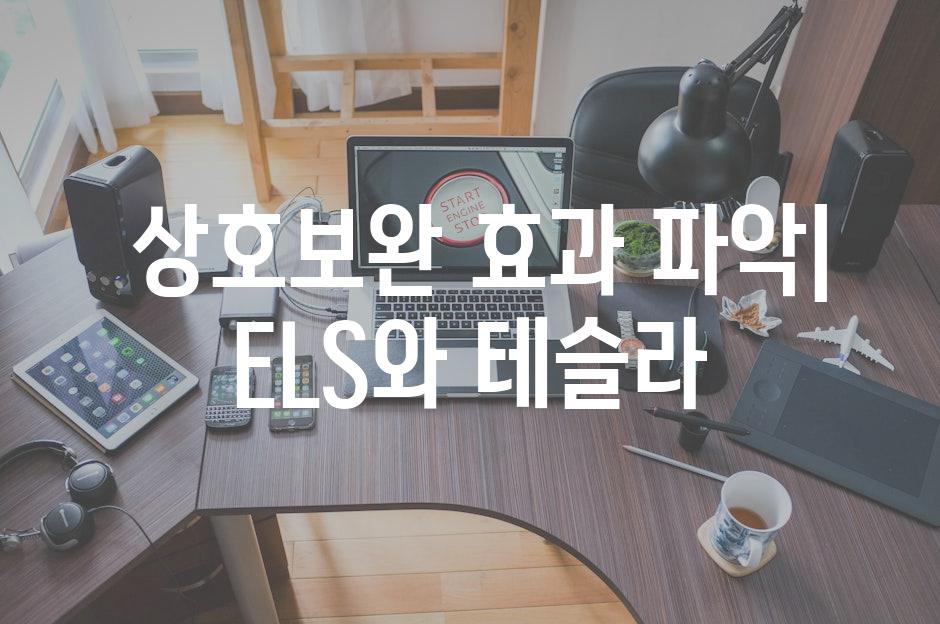  상호보완 효과 파악| ELS와 테슬라