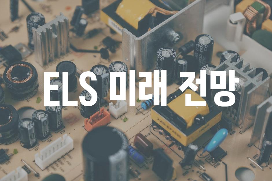  ELS 미래 전망