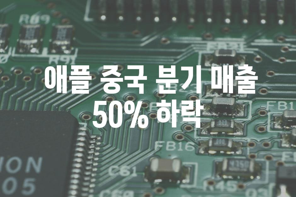  애플 중국 분기 매출 50% 하락