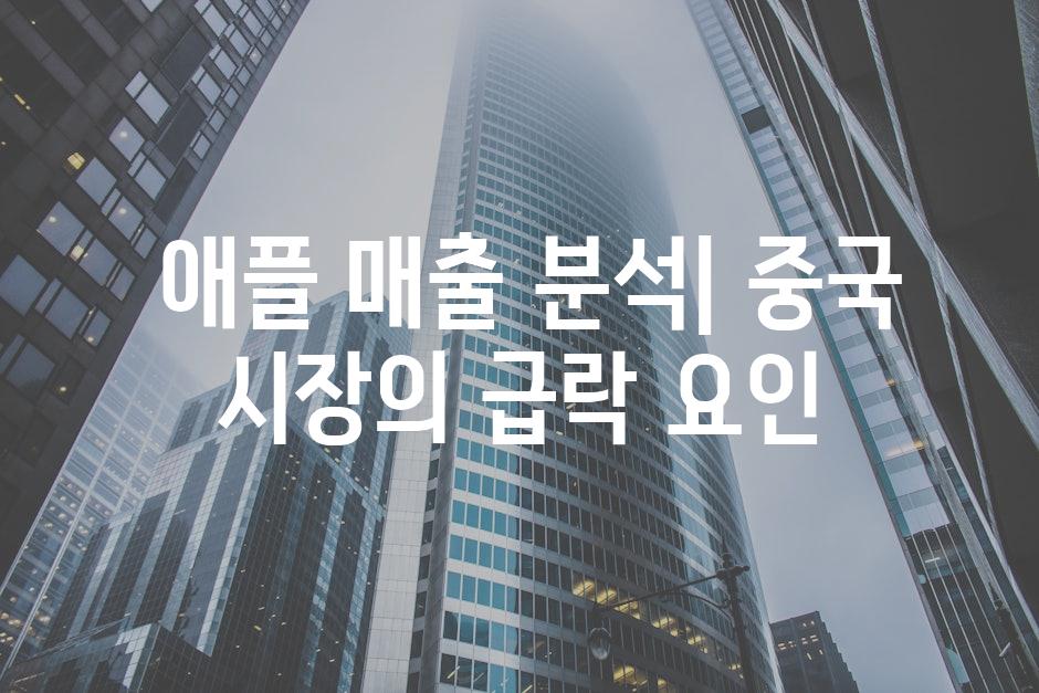  애플 매출 분석| 중국 시장의 급락 요인