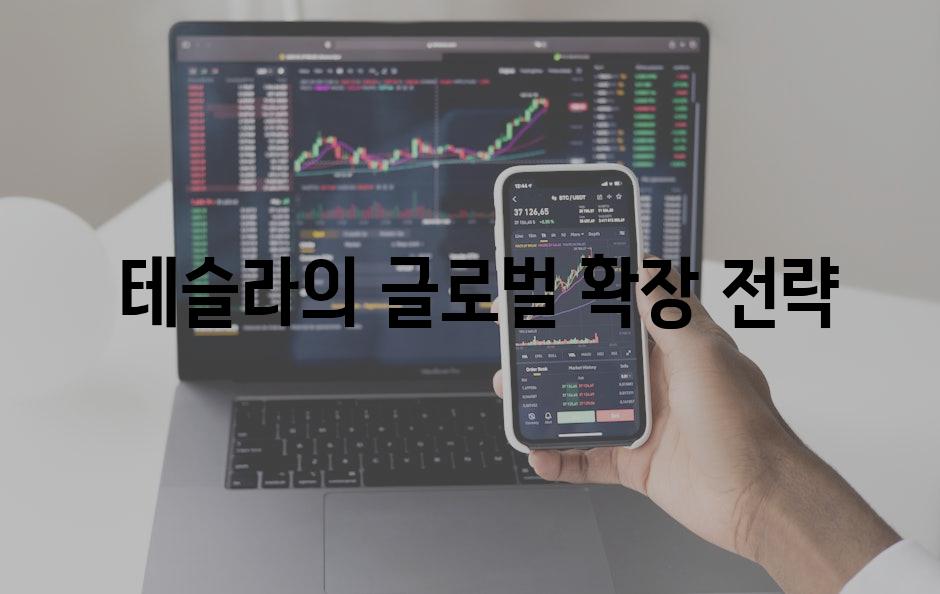  테슬라의 글로벌 확장 전략