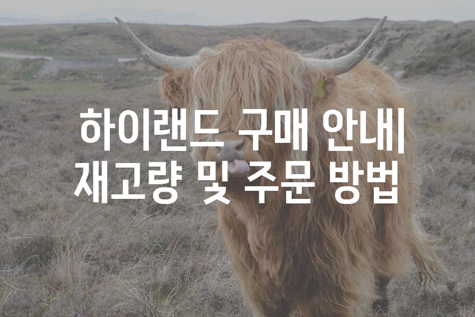 하이랜드 구매 안내| 재고량 및 주문 방법