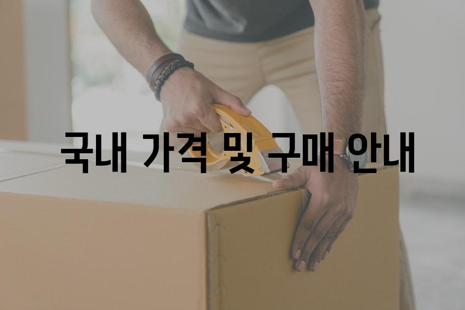  국내 가격 및 구매 안내