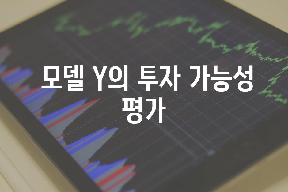  모델 Y의 투자 가능성 평가