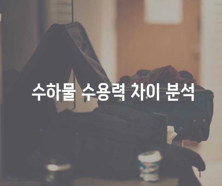  수하물 수용력 차이 분석