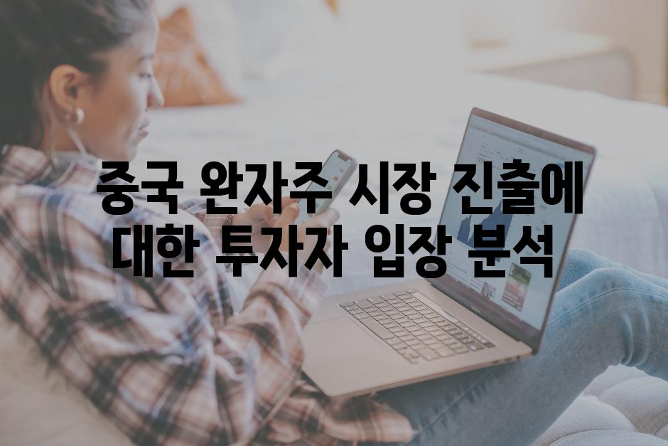  중국 완자주 시장 진출에 대한 투자자 입장 분석