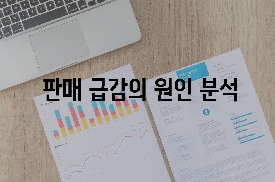  판매 급감의 원인 분석