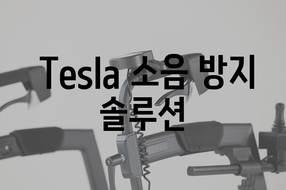  Tesla 소음 방지 솔루션