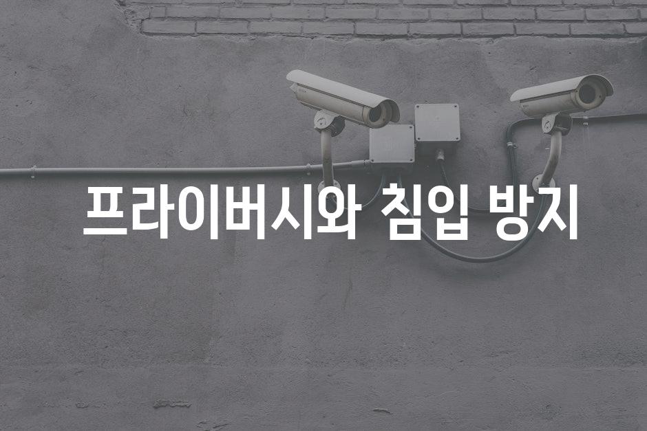  프라이버시와 침입 방지