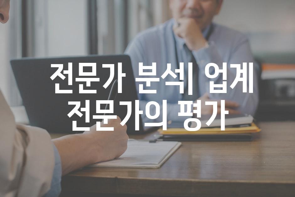  전문가 분석| 업계 전문가의 평가