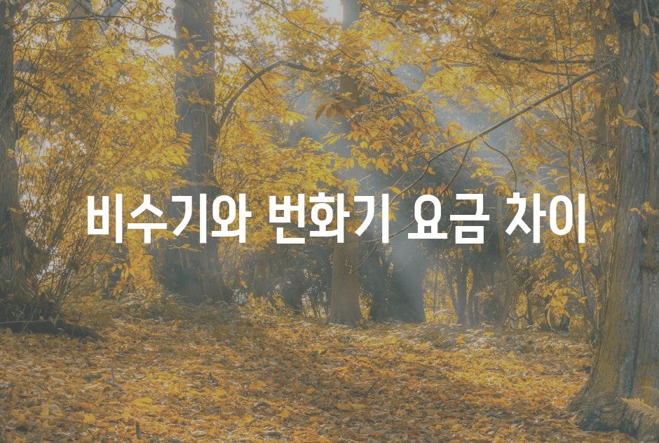  비수기와 번화기 요금 차이