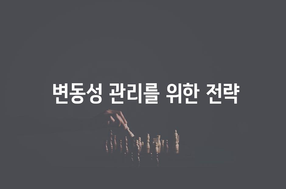  변동성 관리를 위한 전략