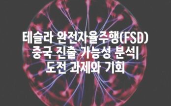 테슬라 완전자율주행(FSD) 중국 진출 가능성 분석| 도전 과제와 기회