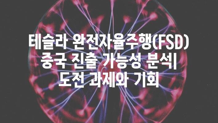 테슬라 완전자율주행(FSD) 중국 진출 가능성 분석| 도전 과제와 기회