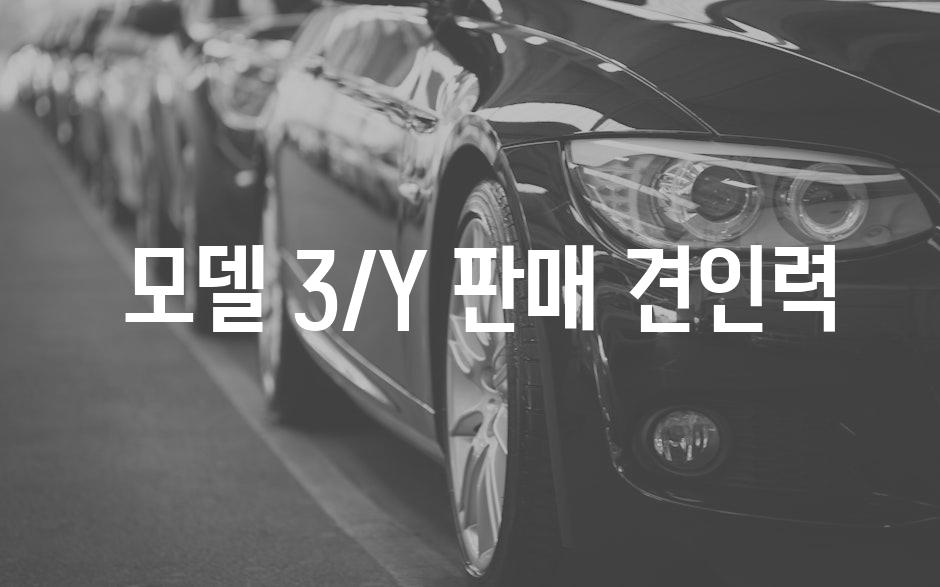  모델 3/Y 판매 견인력