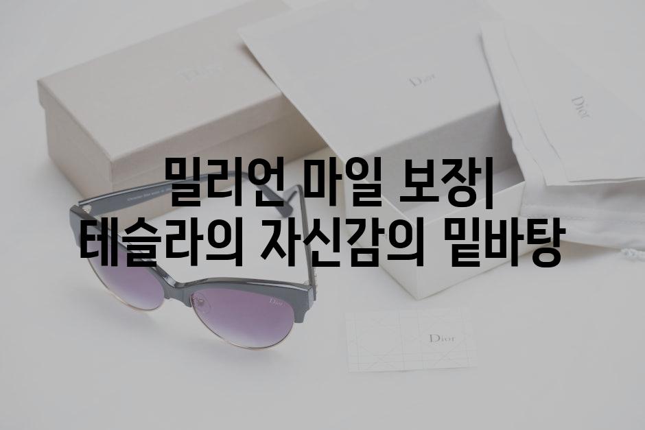  밀리언 마일 보장| 테슬라의 자신감의 밑바탕