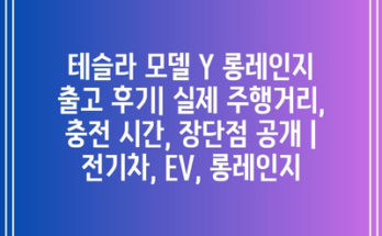 테슬라 모델 Y 롱레인지 출고 후기| 실제 주행거리, 충전 시간, 장단점 공개 | 전기차, EV, 롱레인지