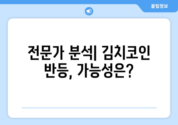 국내 김치코인 반등 가능성| 희망과 우려 속 시나리오 분석 | 김치코인, 가상화폐, 시장 전망, 투자 전략