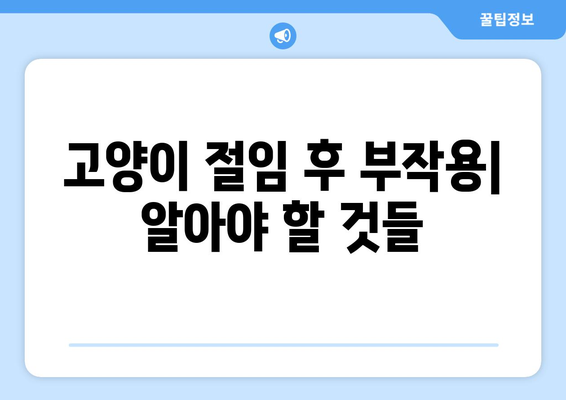 고양이 절임 후 부작용| 인지하고 관리하는 방법 | 고양이 건강, 부작용 관리, 절임 음식, 안전 팁