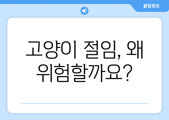 고양이 절임 후 부작용| 인지하고 관리하는 방법 | 고양이 건강, 부작용 관리, 절임 음식, 안전 팁