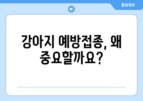 강아지 예방접종, 놓치면 위험해요! | 필수 접종 백신 & 건강 지키는 방법