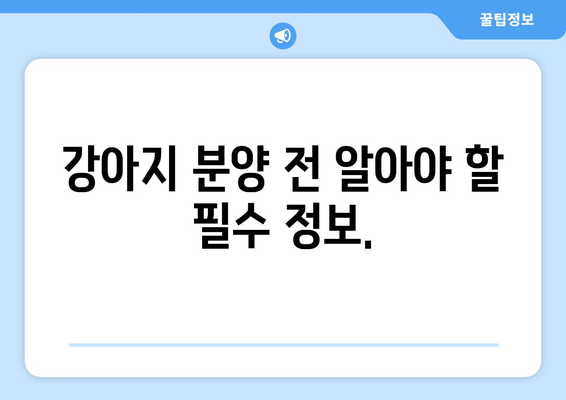 강아지 분양, 띠아몽이 답입니다! 🐶 | 꼭 봐야 할 정보, 믿을 수 있는 분양, 건강한 반려견