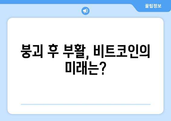 비트코인 거품 붕괴와 부활| 역사 속 교훈을 통해 배우는 투자 전략 | 비트코인, 암호화폐, 투자, 거품, 붕괴, 회복