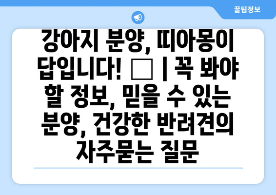 강아지 분양, 띠아몽이 답입니다! 🐶 | 꼭 봐야 할 정보, 믿을 수 있는 분양, 건강한 반려견