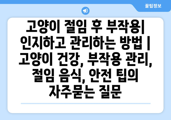 고양이 절임 후 부작용| 인지하고 관리하는 방법 | 고양이 건강, 부작용 관리, 절임 음식, 안전 팁