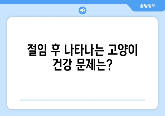 고양이 절임 후 부작용| 인지하고 관리하는 방법 | 고양이 건강, 부작용 관리, 절임 음식, 안전 팁