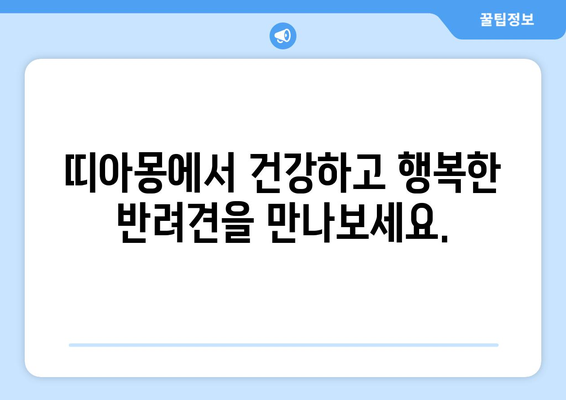 강아지 분양, 띠아몽이 답입니다! 🐶 | 꼭 봐야 할 정보, 믿을 수 있는 분양, 건강한 반려견