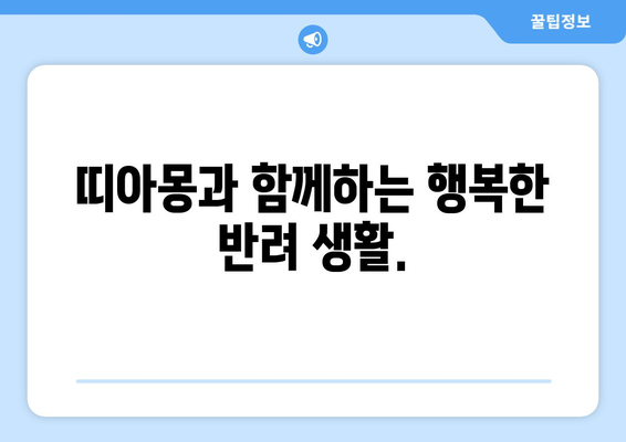 강아지 분양, 띠아몽이 답입니다! 🐶 | 꼭 봐야 할 정보, 믿을 수 있는 분양, 건강한 반려견